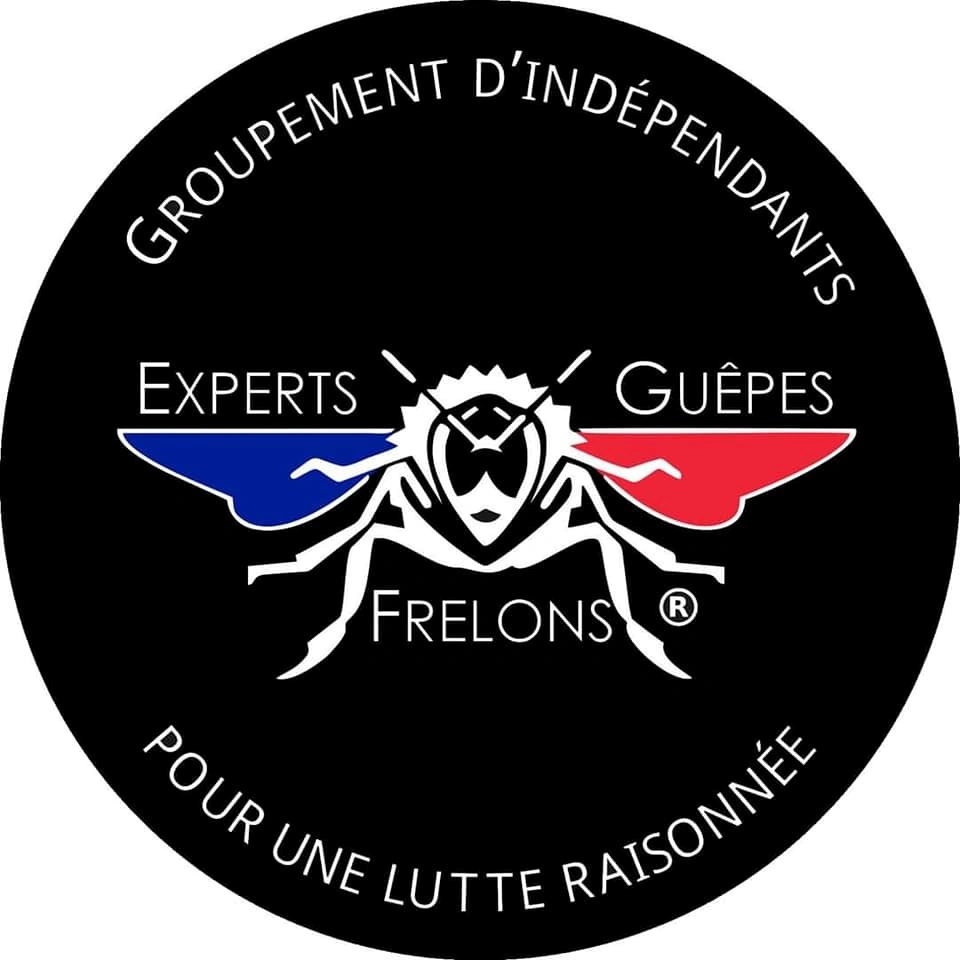 Logo des Experts guêpes et frelons