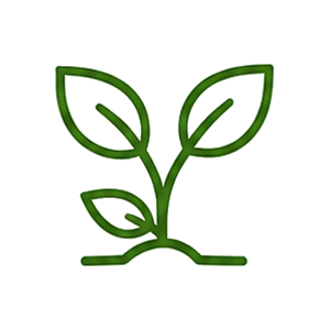 environnement