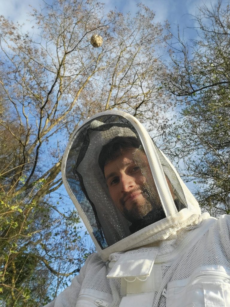 Une protection indispensable contre les guêpes et frelons