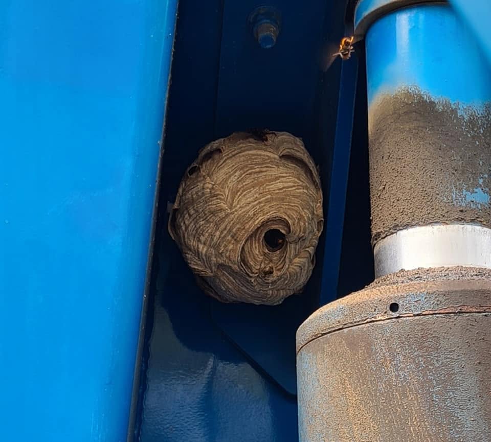 Un nid dans un engin agricole