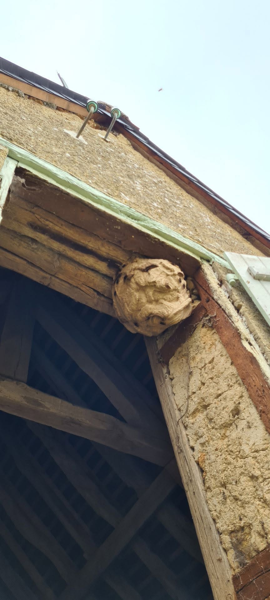 Un nid accroché dans l'encadrement d'une porte de grange